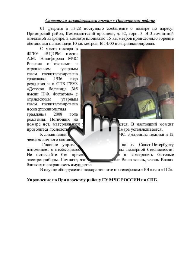 Спасатели ликвидировали пожар в Приморском районе 